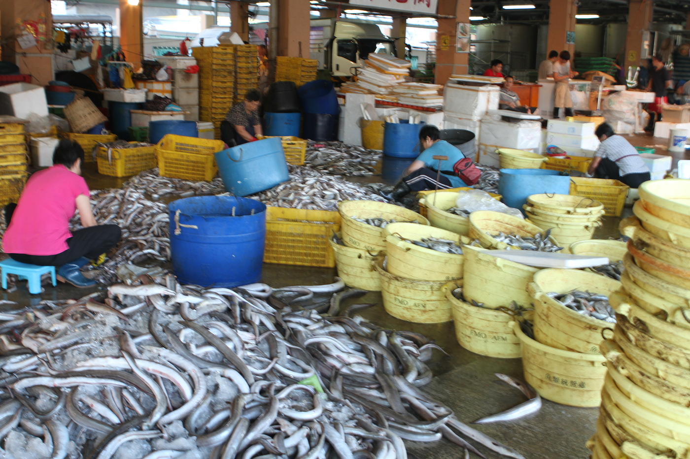 [Hong Kong] Aberdeen Seafood Wholesale Market Canteen (Yee Hope Seafood