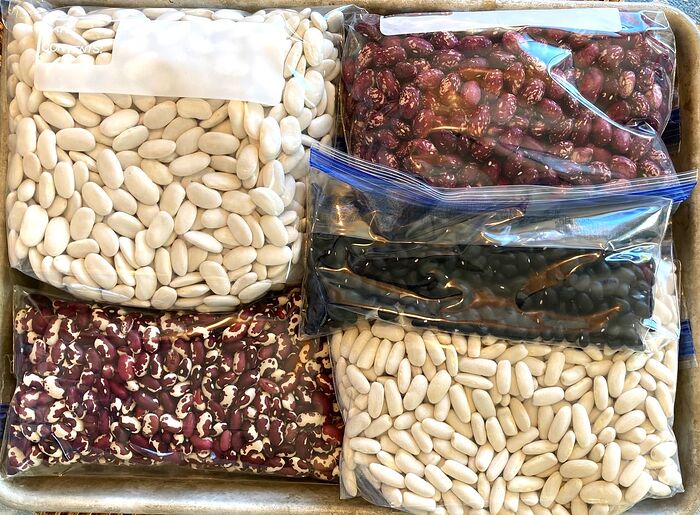 Shelling Beans