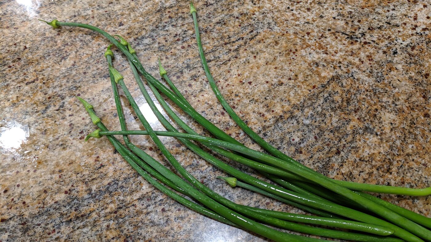 How about green onion.....tops? Cooking, Cookbooks, Ingredients