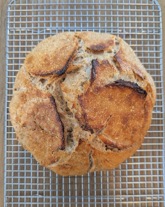 PXL_20251231_173423982.MP~2