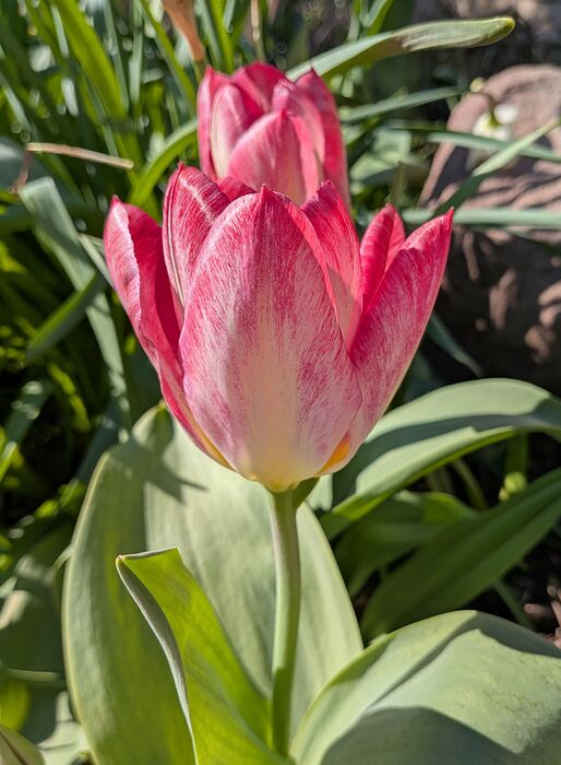 PXL_20260420_211036990~2