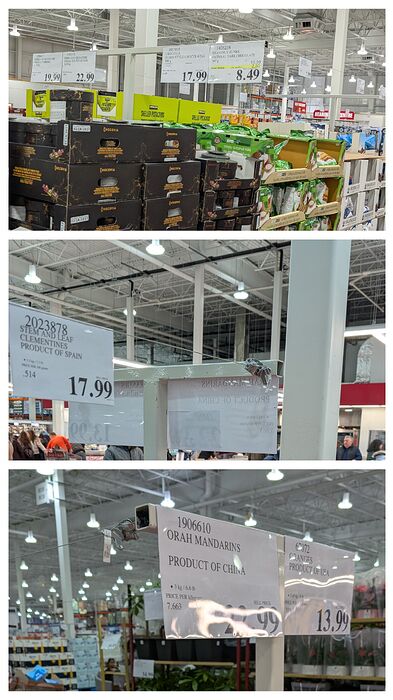 20260206_202612-COLLAGE