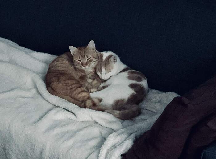 E1C24078-2B74-42F9-B7A9-44264E81F5C3_1_102_a