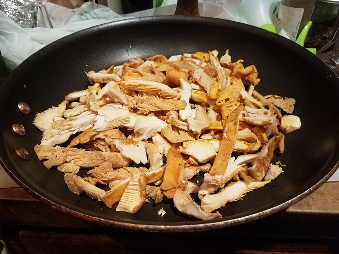 ChanterellesUncooked20251124_191823