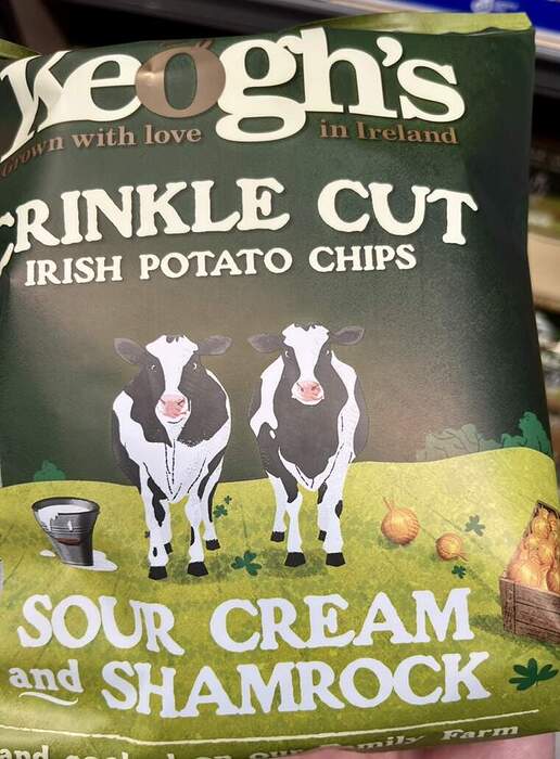 BF59E7B2-D18E-4D64-8F9E-5B43041A3F40_1_105_c