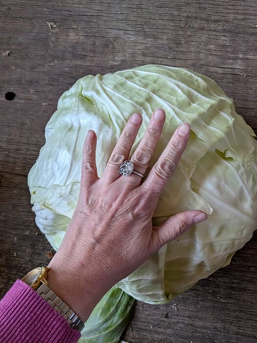 PXL_20251102_202744420