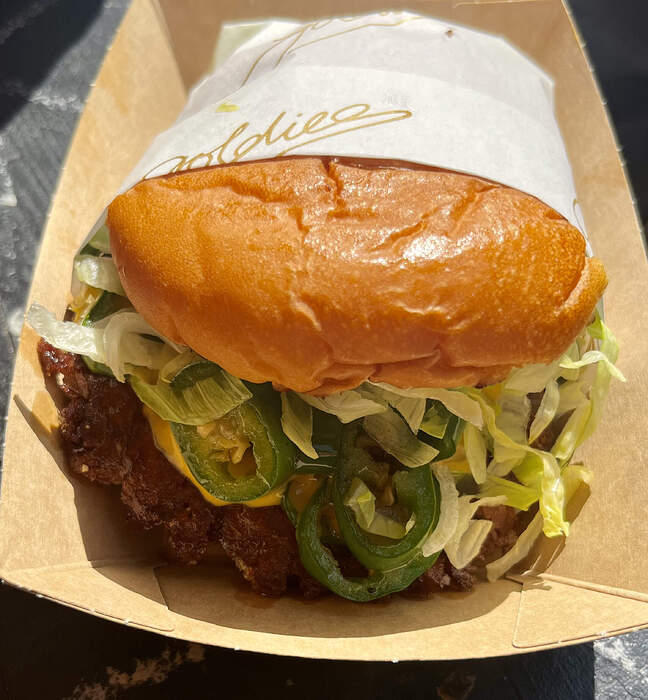 8B07F688-79AB-45E2-8765-8FC25F6C009B_1_201_a