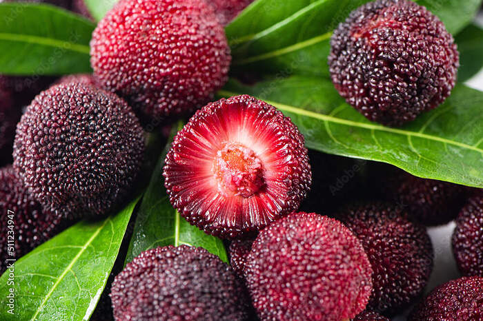 AdobeStock_511234947_Preview-2763321049