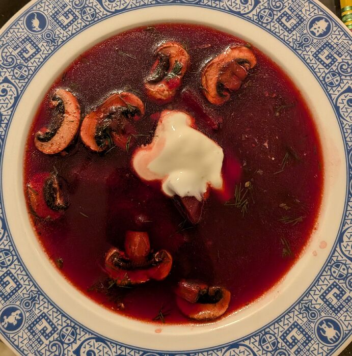 PXL_20260109_233728878~2