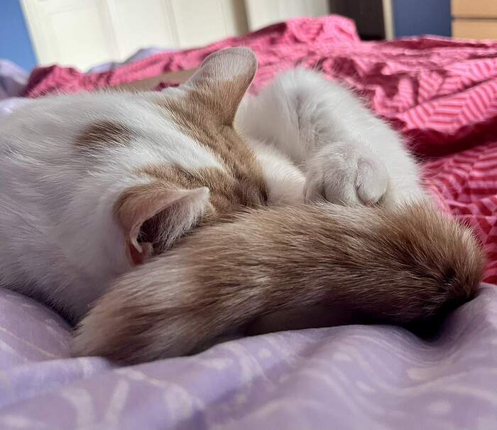 466BBBAD-9CB5-4CBA-936A-38055F249538_1_102_a