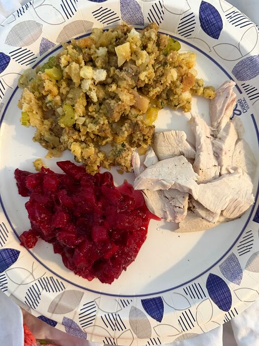 I added neither chlorine nor pepper to anything on the plate.