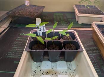 PXL_20260219_231407733.LONG_EXPOSURE-01.COVER