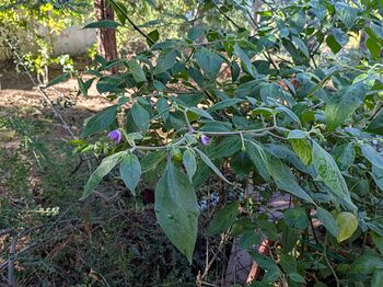 PXL_20251027_182853888