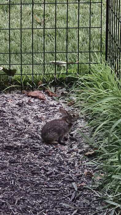 IMG-20250802-WA0041