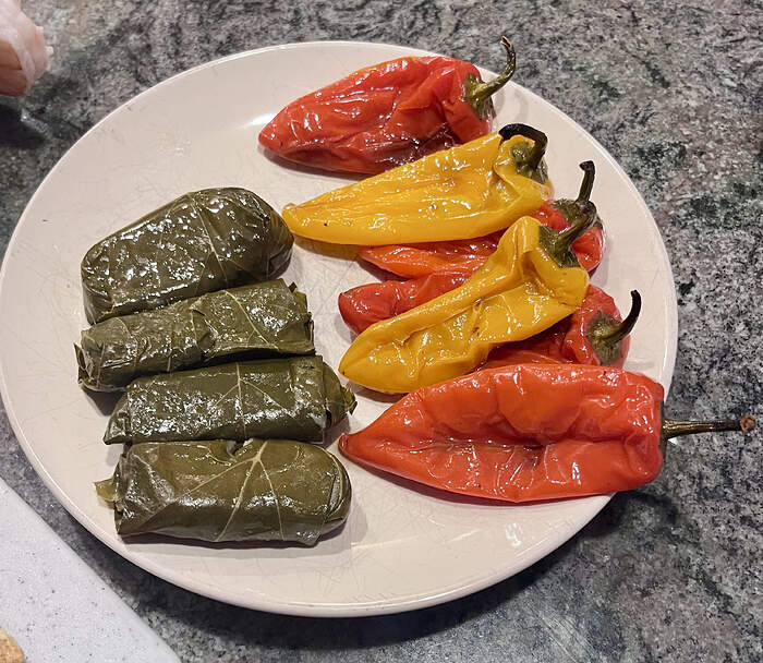 0117D3BB-055F-4681-A18E-9BAC9CF98593_1_201_a