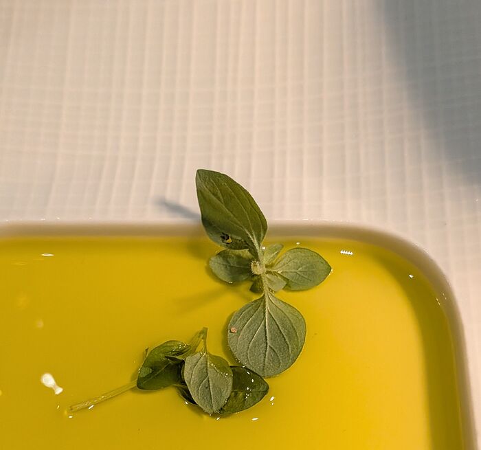 PXL_20260314_235145269~2