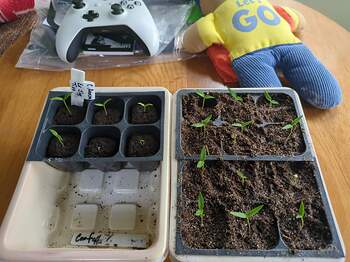 17711819902817103602733112986191