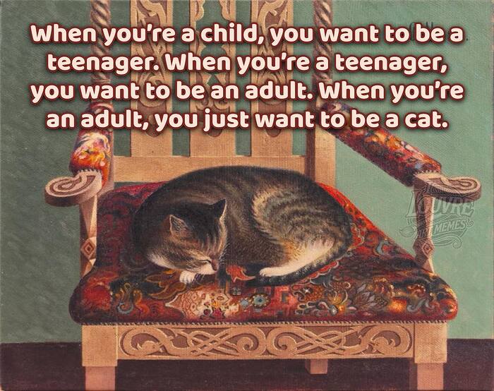 651185755_885599854471644_7168517196349063341_n