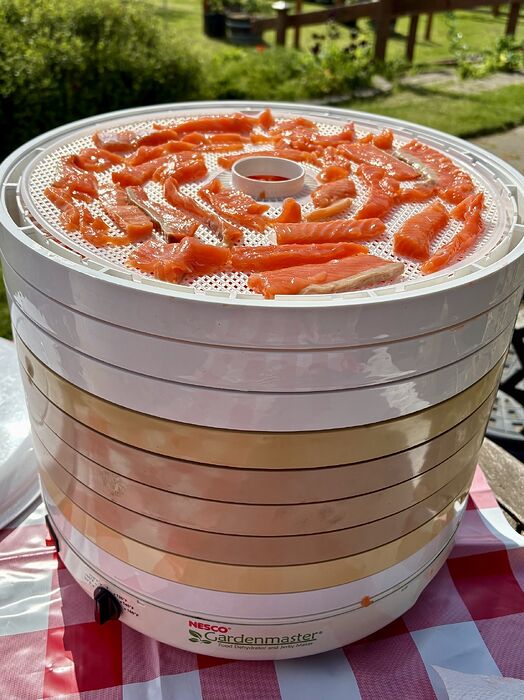 Jerking Salmon