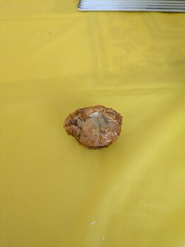 PXL_20251128_162434321