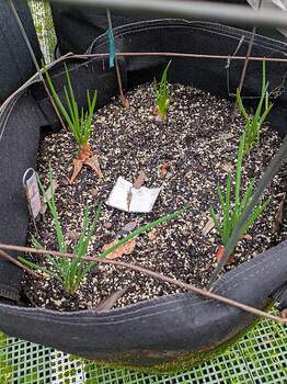 PXL_20251226_202714260