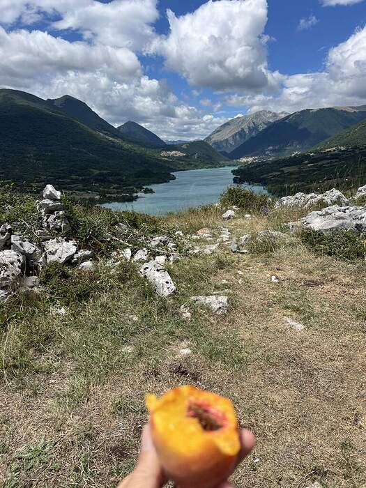 97653580-04EB-4378-A2ED-A453F119AB8D_1_105_c