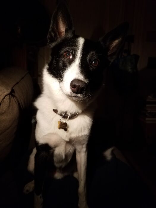 Zeke20251002_224253