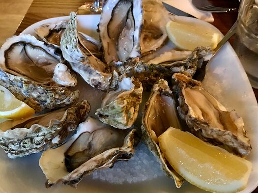 oysters