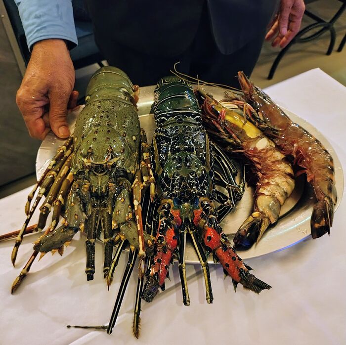 IMG_20251118_193028343_HDR~2