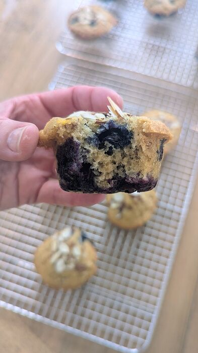 PXL_20260411_215845355.MP~2