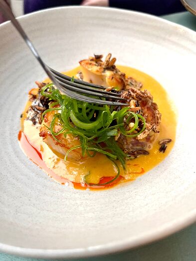kelp_scallops