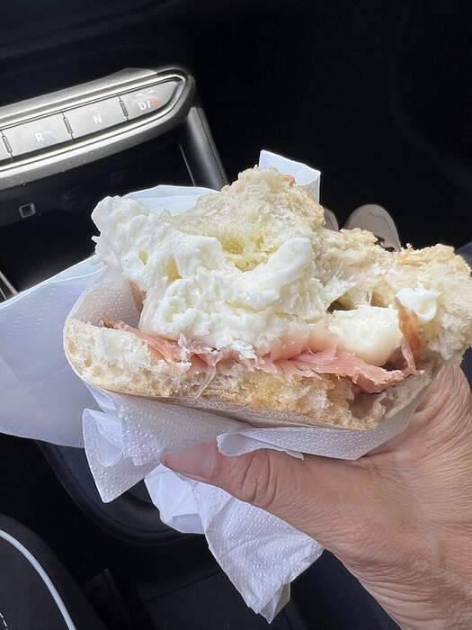 62AC84B9-D819-47DE-BDD2-509E1A7C5E18_1_105_c