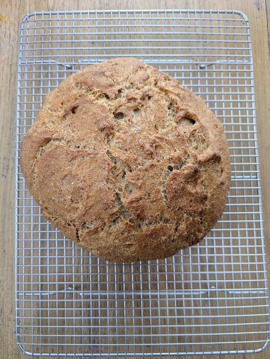 PXL_20251116_182515136.MP~2