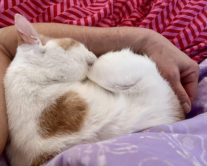 7A49650C-2830-4BCD-B46D-5AE3319DCAD4_1_201_a