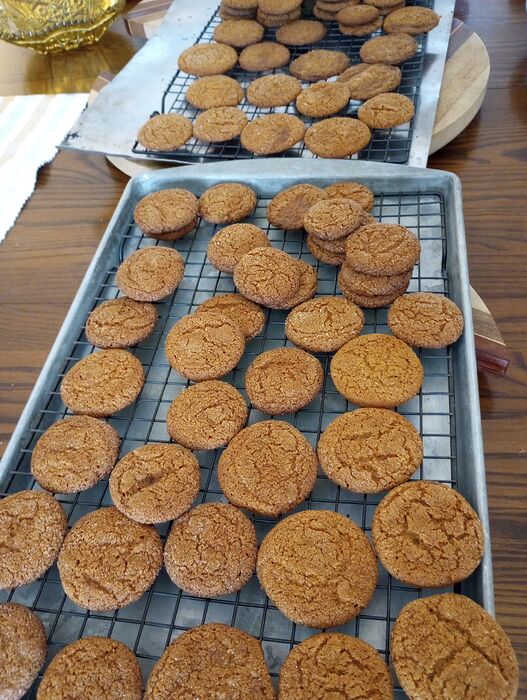 Molasses Ginger Cookies Dec 1