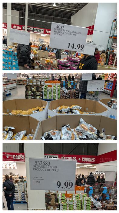 20260401_205253-COLLAGE