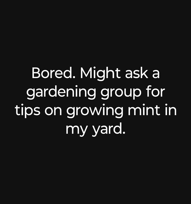 525767426_1154749406694520_5538475550792819340_n