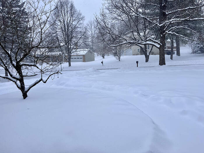 74CD3D34-2BD1-4ADE-9228-B4D9DBCC08AE_1_201_a