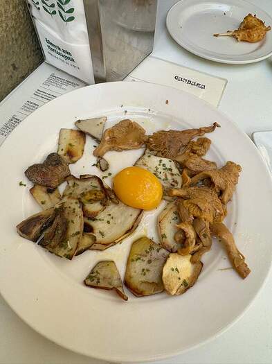 E018B504-4091-478E-A4B7-2BE02C052DFF_1_105_c