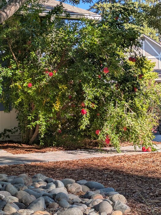 PXL_20251027_220945050