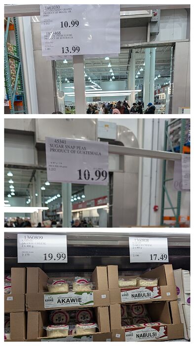 20260315_152905-COLLAGE