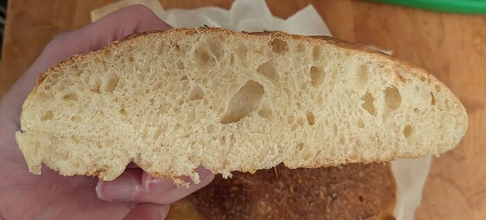 PXL_20260224_004556463~2