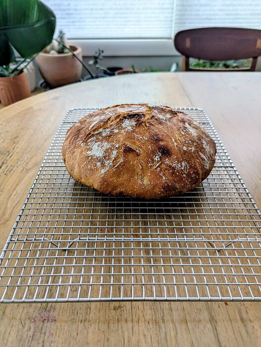 PXL_20251115_180818885.MP~2