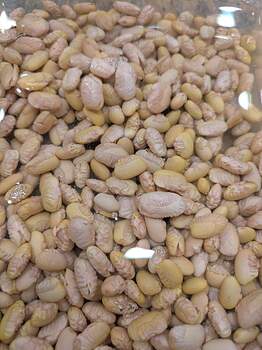 PXL_20260101_193327419