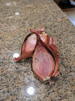 PXL_20251111_221735353