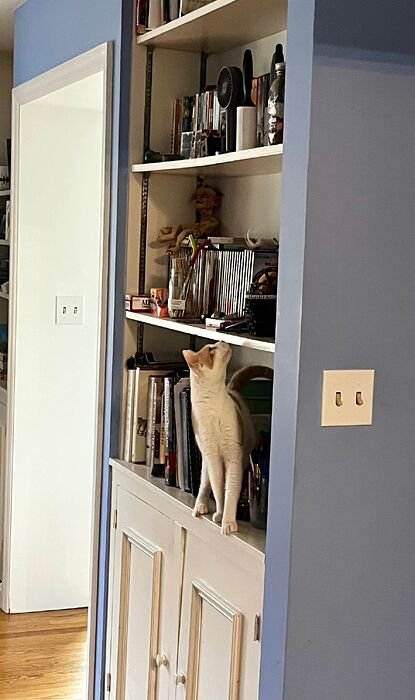 6BAA02B3-701C-479A-B903-54E8DBAD86A0_1_102_a