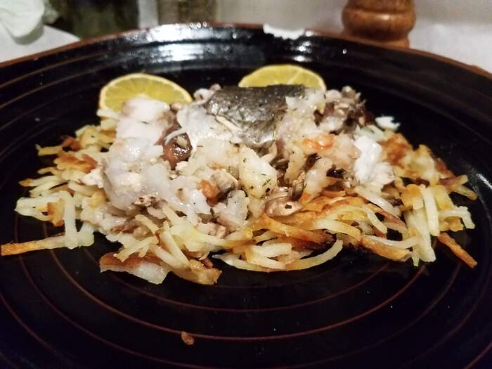 DoradePlated20260205_193735