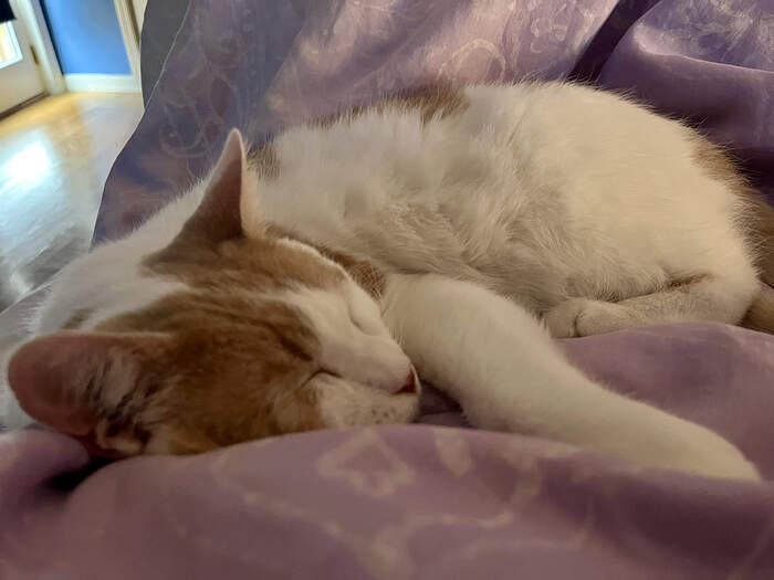 44EA0431-3C9B-4BE3-8A3E-991EA2AAC4F4_1_201_a