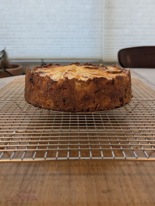 PXL_20251231_171303057.MP~2