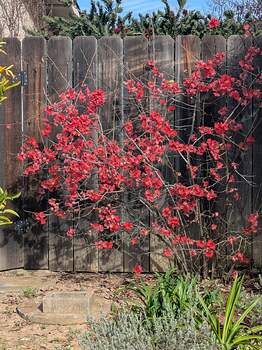 PXL_20260209_222954171.MP